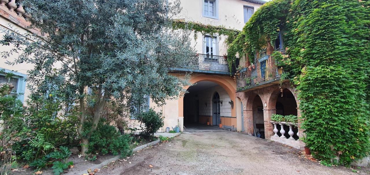 Apartmán Un Petit Coin De France : A Cote De La Cite Medievale Carcassonne Exteriér fotografie